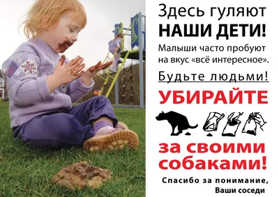 Детская школа искусств № 2 г. Костромы | Безопасность (инструкции)