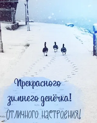 Пин от пользователя Ivanova Anna на доске зима | Зимние картинки,  Счастливые картинки, Снег