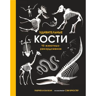 Удивительные кости. 10 животных-рекордсменов - Kolobook