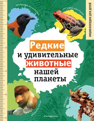 Сергей Георгиев: Сказки об удивительных животных Европы - УМНИЦА