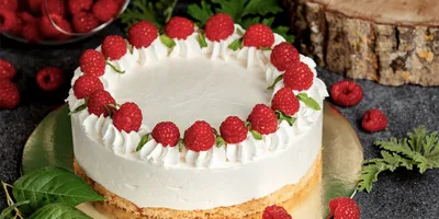 Украшение новогоднего торта: идеи от ВТК — Статьи