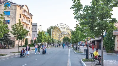 Улица Комиссаржевской – самая красивая зеленая улица страны, или Что  объединяет Воронеж и Париж