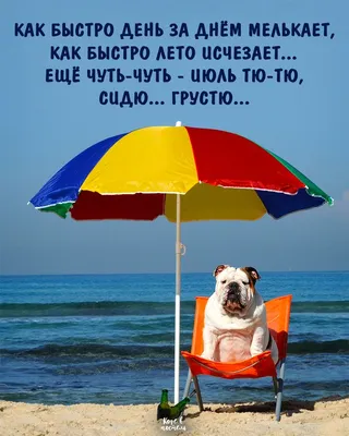 Позитив на весь день. Солнечные улыбки. » uCrazy.ru - Источник Хорошего  Настроения