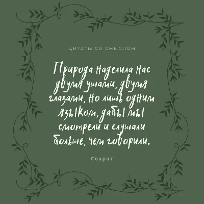 Мудрые цитаты со смыслом в красивом оформлении — Canva