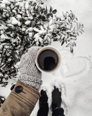 Утренний кофе с видом на лесной домик ☕️❤️ У нас выпало немного снега,  стало гораздо больше зимней атмосферы, а в домах все также… | Instagram