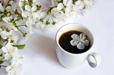 Картинки по запросу доброе утро весна кофе | I love coffee, But first  coffee, Coffee time