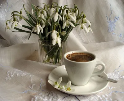 Когда чувствуется весна, то настроение такое солнечное🌷 Желаю всем  чудесного дня☺️ Flatlay раскладки для инстаг… | Tea and books, I love  coffee, Coffee and books
