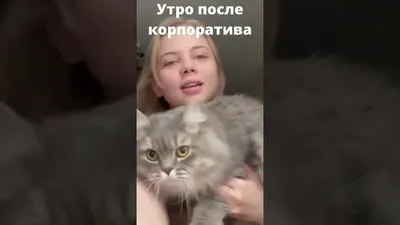 жена после корпоратива с утра #корпоратив #послекорпоратива #женанакор... |  TikTok