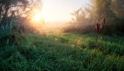 Невероятно красивый рассвет: дмитровчане с утра зарядились позитивным  настроением | REGIONS.RU / Дмитров