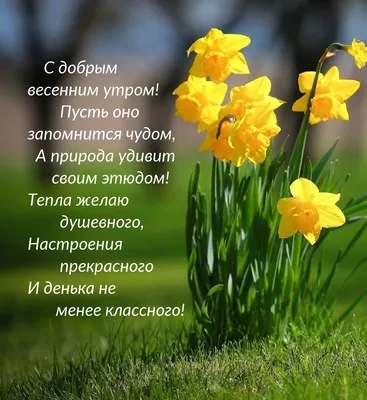 Утро. Весна» картина Гавлина Евгения (картон, масло) — купить на ArtNow.ru