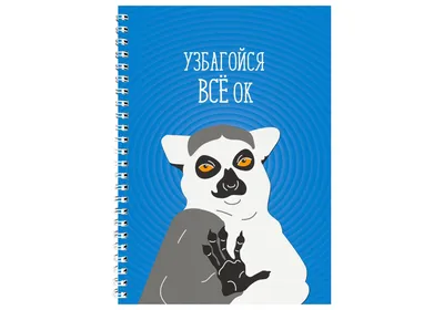 Игра настольная \"Узбагойся, ща сыграем!\", арт. 04824 купить с выгодой в  Галамарт