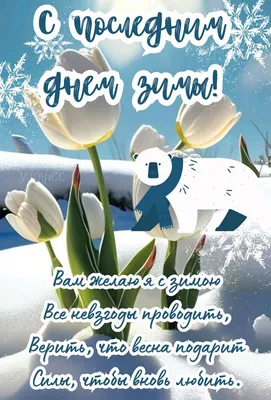 С последним днем зимы 2021 - красивые открытки, картинки, поздравления в  стихах и прозе - Апостроф