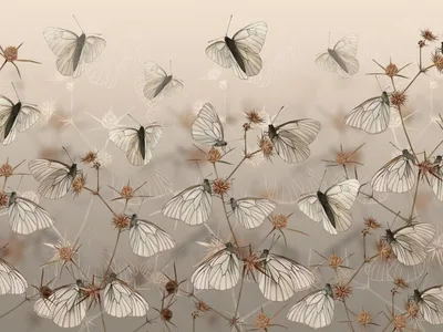 3D Фотообои «Воображение с бабочками в бежевых тонах» - купить в Москве,  цена в Интернет-магазине Обои 3D