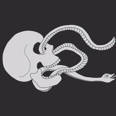 Иллюстрация череп со змеей в черно белом стиле в стиле 2d |
