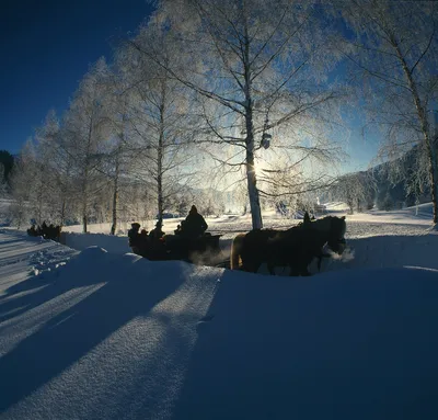 Галерея - Австрия - зима (Катание на лыжах в Австрии - фотографии)