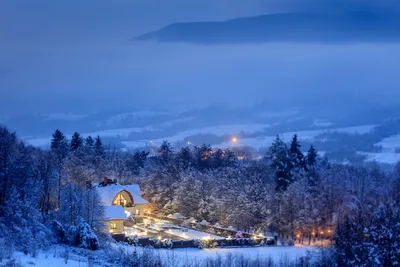 Картина Зима в Карпатах ᐉ Малышев Евгений ᐉ онлайн-галерея Molbert.