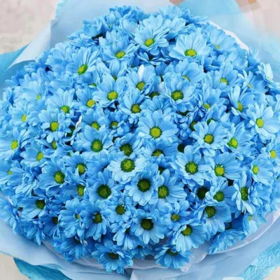 Интерьер в голубом цвете, фото – Rehouz