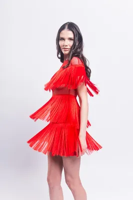 Купить Платье с бахромой в стиле Гэтсби (Красный) в Москве в ШоуРуме  платьев по выгодной цене
