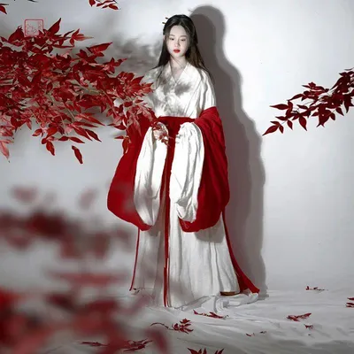 Купить Китайский стиль династий Вэй и Цзинь, Ханфу, красный костюм феи,  элегантный костюм, женская одежда | Joom