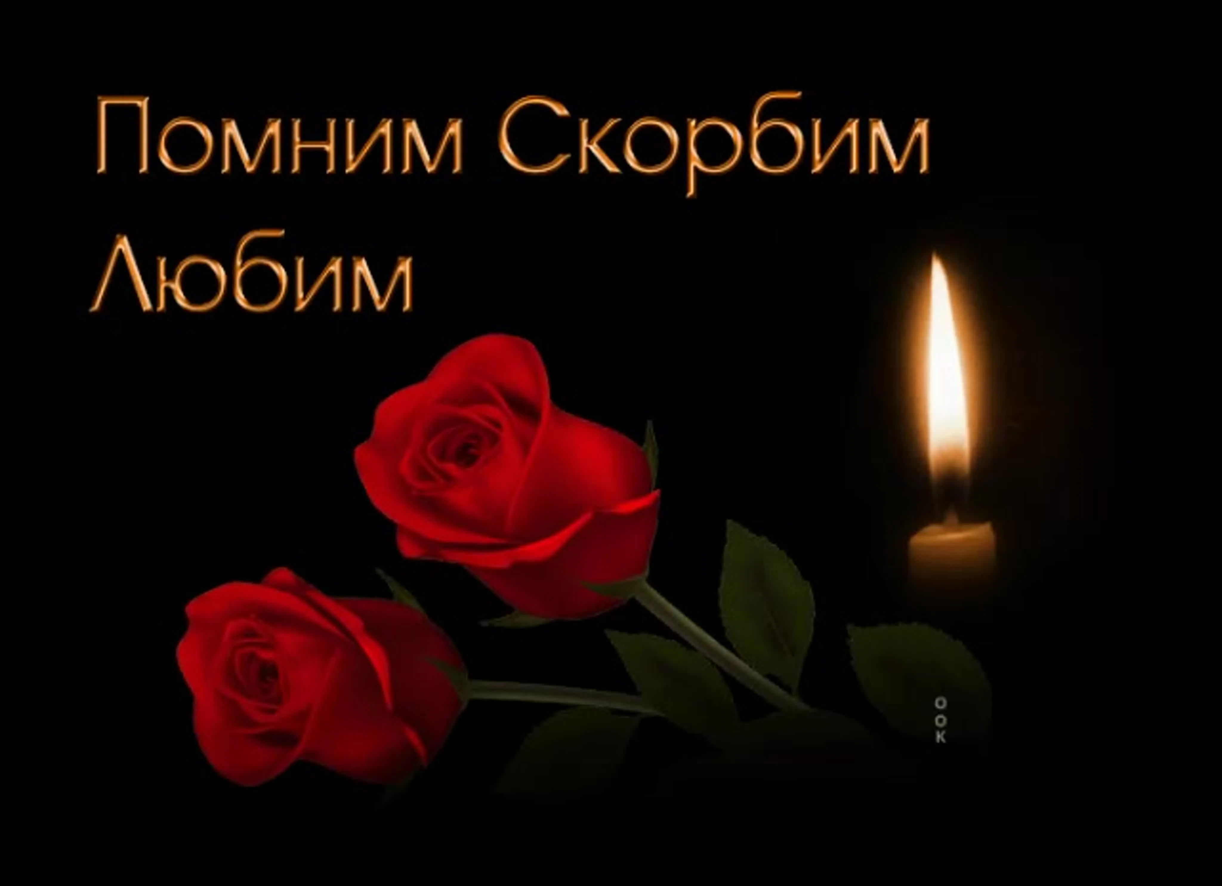 Невидимая эпидемия. 21 мая – Всемирный день памяти умерших от СПИДа |  ОБЩЕСТВО | АиФ Камчатка
