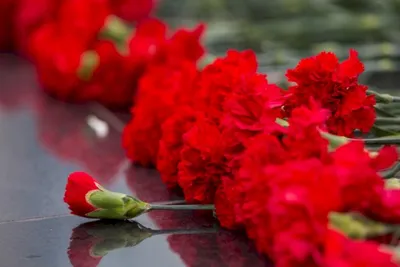 В Волгограде почтили память погибших в ходе боевых действий на Северном  Кавказе » ГТРК Волгоград-ТРВ