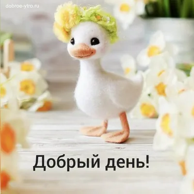 С добрым утром!#видеооткрытка #открыткасдобрымутром#открытка #рекоменд... |  TikTok