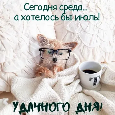 Скачать открытку с добрым утром бесплатно: прикольные фото для женщин -  pictx.ru