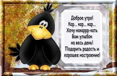 Прикольная картинка с добрым утром на пятницу | Доброе утро, Смешные  таблички, Кошачьи цитаты