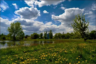 Весна в деревне (97 фото) - 97 фото