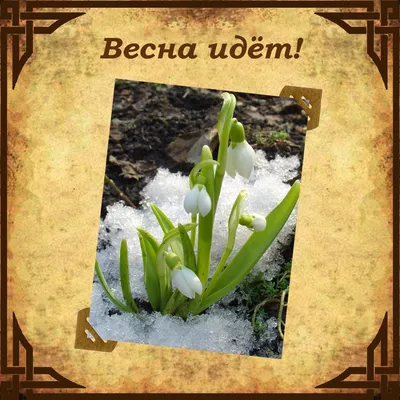 Весна идёт / Анна Христолюбова