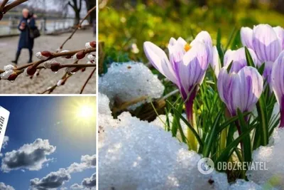 Рассказы о весне - \"Март, апрель, май\" (Пересказ В. Глоцер и Г. Снегирёв) -  Слушать - YouTube