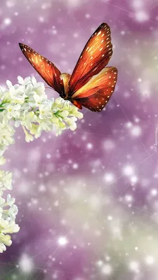 Обои цветок, весна, розовый, дерево, растение на телефон Android, 1080x1920  картинки и фото бесплатно