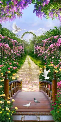 картинки : цветы, весна, природа, дерево, Красочный, ветви, цветущее  растение, цветок, белый, филиал, лепесток, цвести, Ветка 4231x2821 - Konevi  - 1606162 - красивые картинки - PxHere