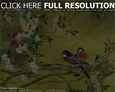 Обои на рабочий стол природа весна - 57 фото