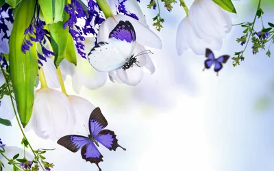 Весна!!! Природа ожила и дала нам первые цветы Стоковое Изображение -  изображение насчитывающей останьте, цвет: 161291707
