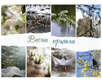 Букет «Весна пришла»