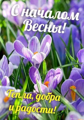 Картина Picsis Весна пришла! 660x430x40 мм 2401-9896924 - выгодная цена,  отзывы, характеристики, фото - купить в Москве и РФ