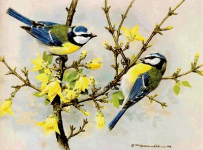 весна птиц иллюстрация вектора. иллюстрации насчитывающей конструкция -  24160064