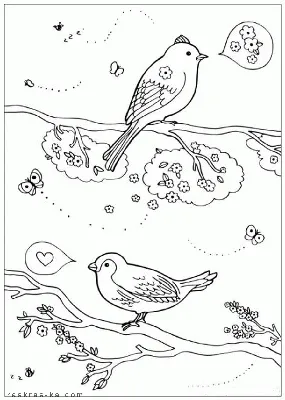 Весенние птицы - Енот оленевод
