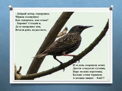Птицы-весна\" Лука-С арт. В2420