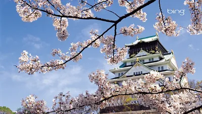 Обои весна, сакура, цветение, дворец, япония, архитектура картинки на  рабочий стол, фото скачать бесплатно