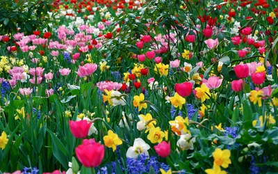 Цветы в горшке Ladecor \"Весна\" купить с выгодой в Галамарт