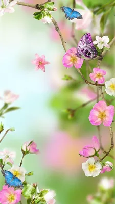 Весенние Цветы В Парке — стоковые фотографии и другие картинки Вертикальный  - Вертикальный, Весна, Вода - iStock