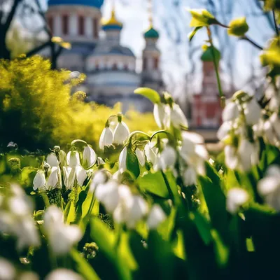 Весна в России изображение высокого …» — создано в Шедевруме
