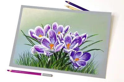 Простые рисунки на тему весна (48 фото) » рисунки для срисовки на  Газ-квас.ком