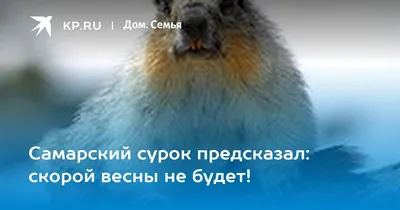 Картинки весны не будет фотографии
