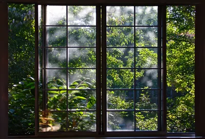 Красивый вид из окна на природу - 72 фото
