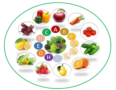 Почему овощи и фрукты полезно есть? | Вадим Кабыш | Дзен