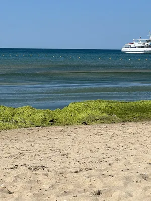 Витязево, Анапа, Россия: фото и видео пляжа и моря, как добраться до  Витязево