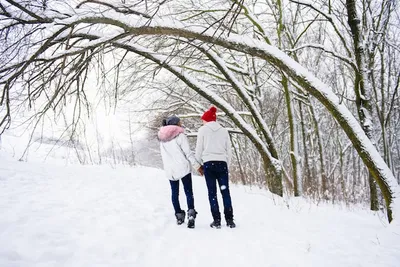 Зимняя фотосессия пары в снежном лесу | Winter photo, Photo sessions, Sled